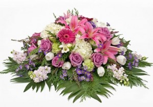Pinks and White Spray  