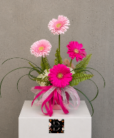 Pinky Bright Gerberas 