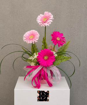 Pinky Bright Gerberas 