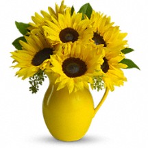  Pitcher of Sunflowers Floral Bouquet in Whitesboro, NY | KOWALSKI FLOWERS INC.