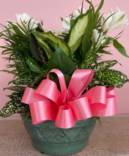 Pretty Planter 