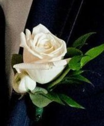 Plain White Rose  in Westlake, OH | Silver Fox Flowers
