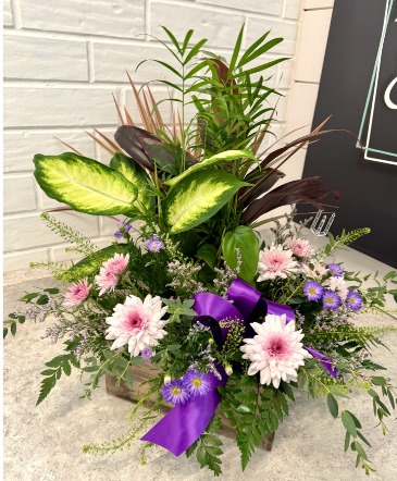 Plant and Floral Combo  in Wayne, NE | Bloom & Grace