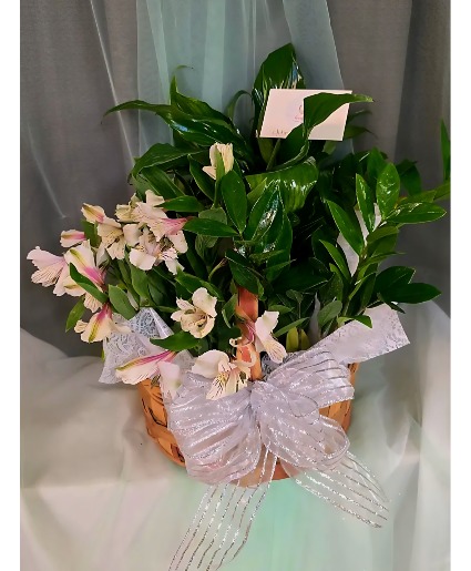 Plant basket 