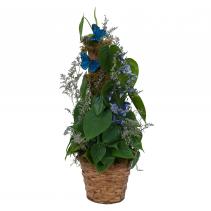 Plant Basket with Butterflies Plant