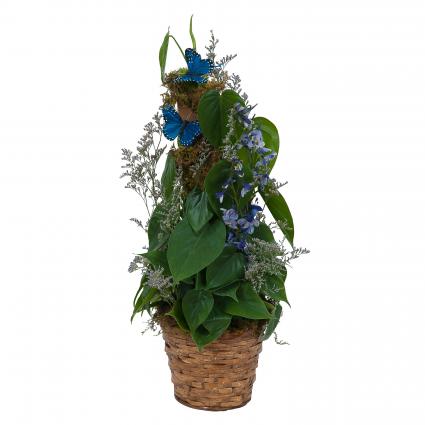 Plant Basket with Butterflies Plant
