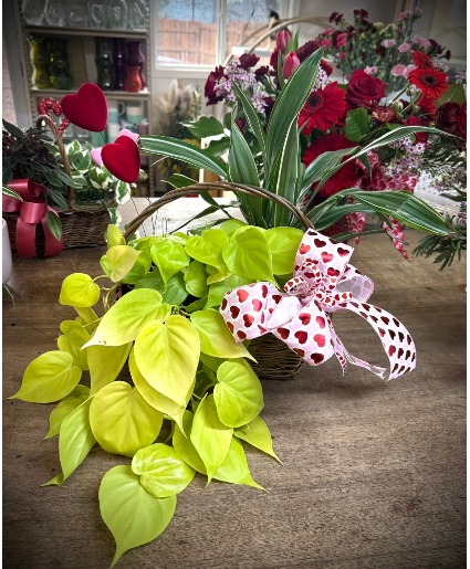 Plant Buddies 