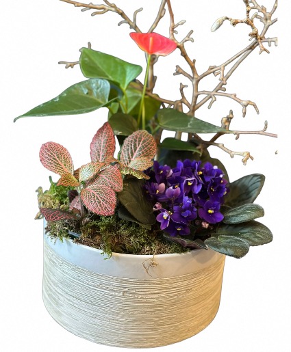 Plant Garden 