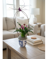 Plant in decorative pot 