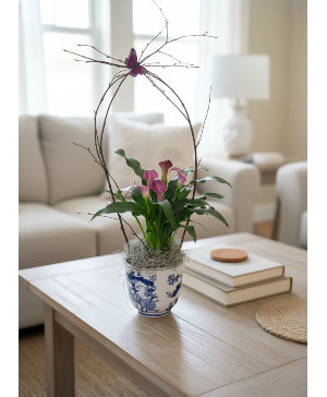 Plant in decorative pot Flower Arrangement