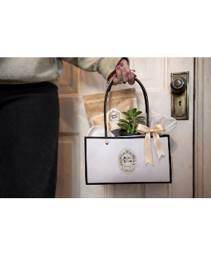 Plant Lovers Gift Box 