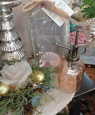 Plant Mister  in Glastonbury, CT | THE FLOWER DISTRICT