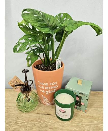 Plant Mom Bundle