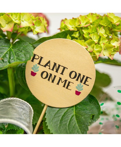 "Plant One On Me" Plant Pick