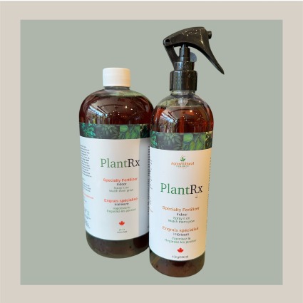 Plant RX Specialty Indoor Plant fertilizer 