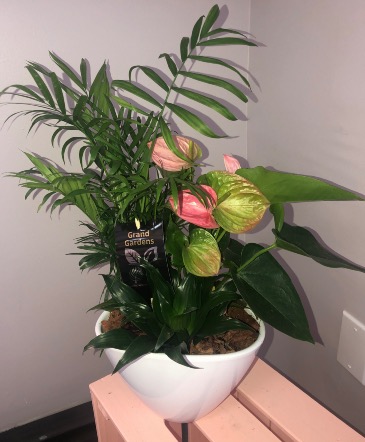 Planter 5  in Aurora, ON | Petal Me Sugar Florist