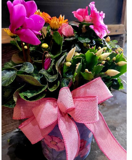 planter 