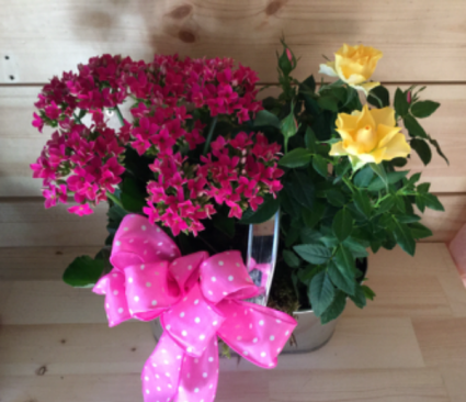 Planter Basket 