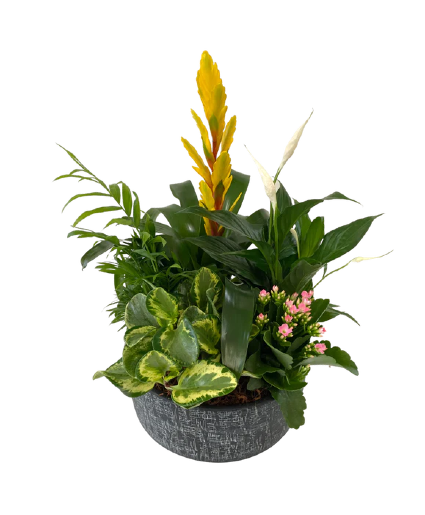 Planter Garden 