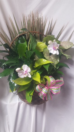 Planter with cut flowers        (P) 