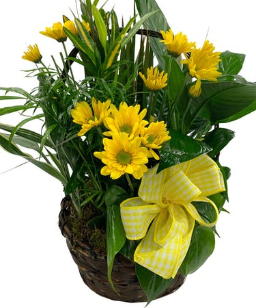 Planter With Fresh Plants