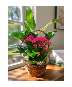 Planter with Peace Lily and Kalanchoe 