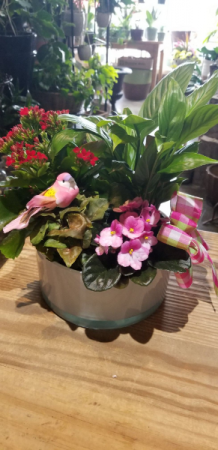 planters 