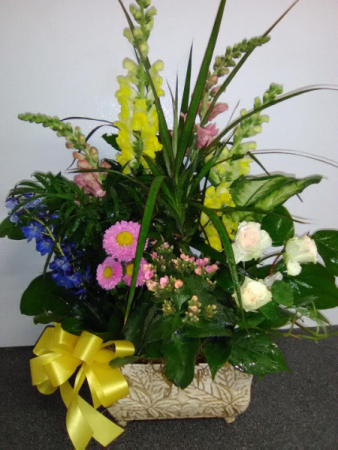 PLANTERS FOR SAME DAY DELIVERY  GREEN AND BLOOMING PLANTS