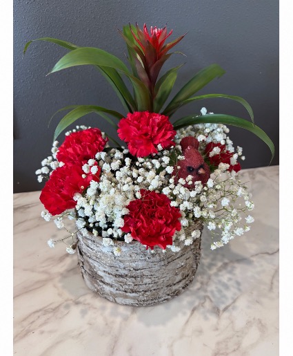 Plant/Fresh Combo Arrangement  