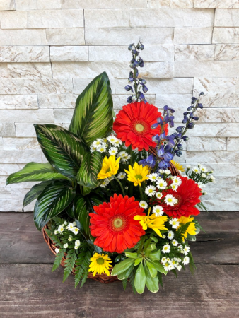 Plants and Flowers Combo
