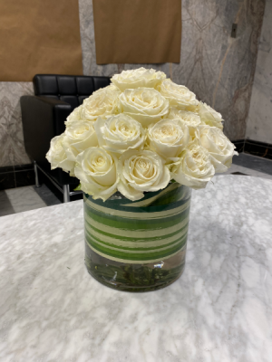 Playa Blanca white Garden Roses 