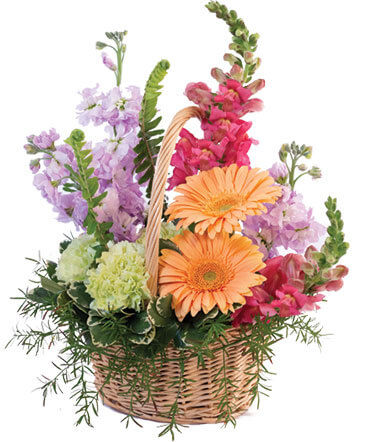 Pleasant Pastels Basket Arrangement in Albany, NY | Ambiance Florals & Events