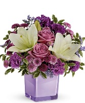 Sweet Purple 