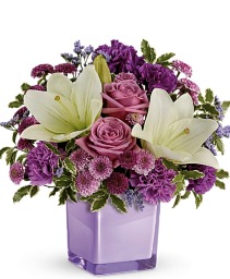 Sweet Purple 