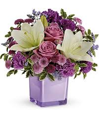 Pleasure purple 