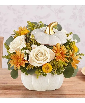 Plentiful white pumpkin 191263 