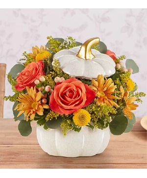 Autumn White Pumpkin 191264 