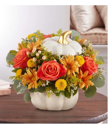 Plentiful White Pumpkin 