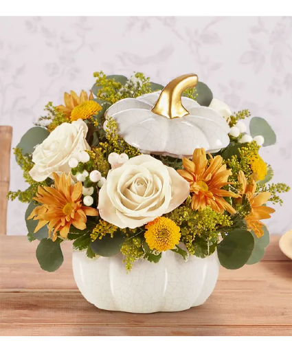 Plentiful White Pumpkin 