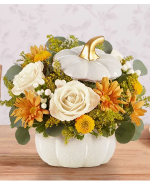 Plentiful White Pumpkin 