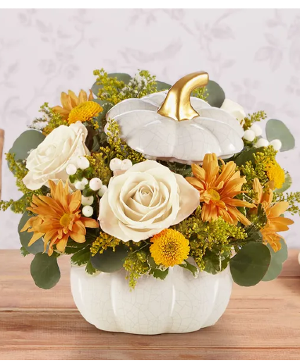 Plentiful White Pumpkin 