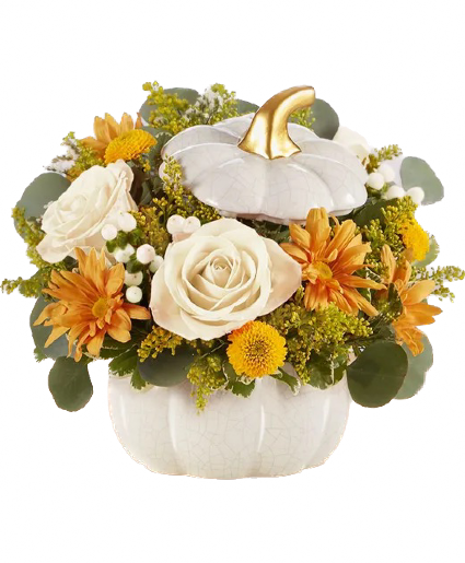 Plentiful White Pumpkin 