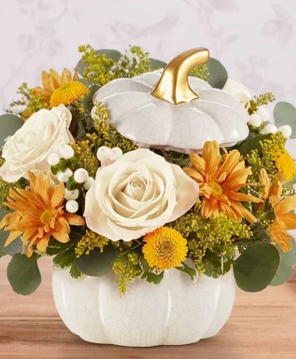 plentiful white pumpkin Fall/Thanksgiving 