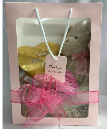 PLUSH SOFT BEIGE BEAR WITH SHEER RIBBON 