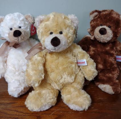 Plush Teddy Bear..Aurora Brand Not deliverable by itself...