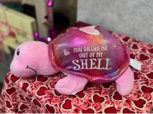 Plush Turtle 
