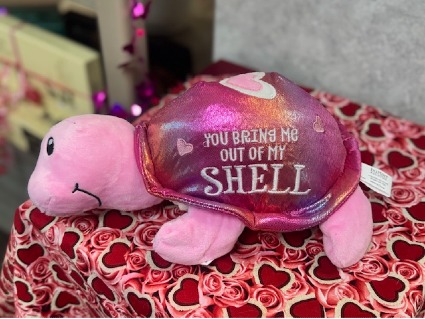 Plush Turtle 