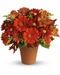 Pot of Posies Fall