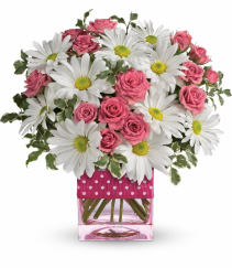 polka dot and posies 