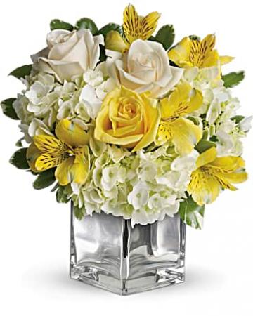 Pop's Sunshine Exclusively at Mom & Pops